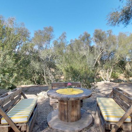 Finca S'Erissal De Costitx Εξωτερικό φωτογραφία